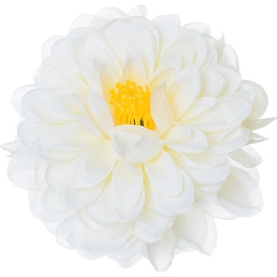 HLAVA DAHLIA SMOTANOVÁ 10CM BAL:12KS