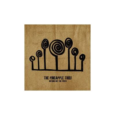 PINEAPPLE THIEF, THE - NOTHING BUT THE T CD