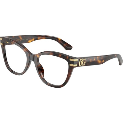 Dolce & Gabbana DG3418 502