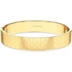 Calvin Klein 35000889 (35000889)