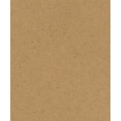 Rasch 520897 vliesová tapeta na zeď Concrete rozměry 0,53 x 10,05 m