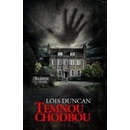 Temnou chodbou