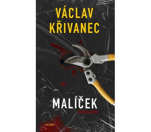 Malíček