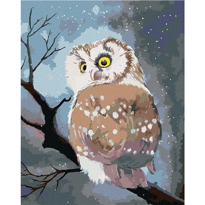 zuty Malování podle čísel Zimní sova 80 x 100 cm bez rámu a bez vypnutí plátna