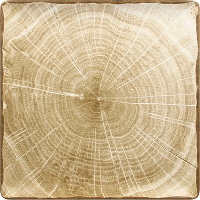 RAK Woodart talíř čtvercový 30 x 30 cm mechově zelená WDEDSQ30MG-6