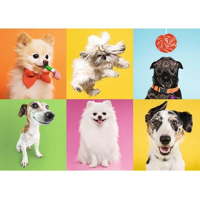 Trefl - Puzzle Collage of dogs - 500 piese