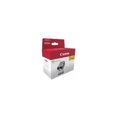 Canon Консуматив Canon PGI-520BK Twin Pack (2932B019AA)