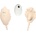 Love Spice Trilobit