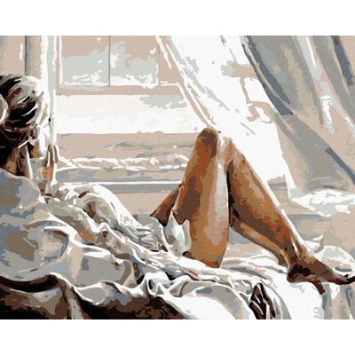 zuty Malování podle čísel Pohled z okna 50 x 40 cm vypnuté plátno na rám 8596530001812