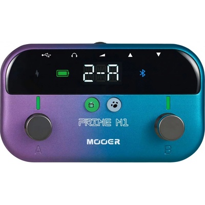Mooer Prime Minimax M1