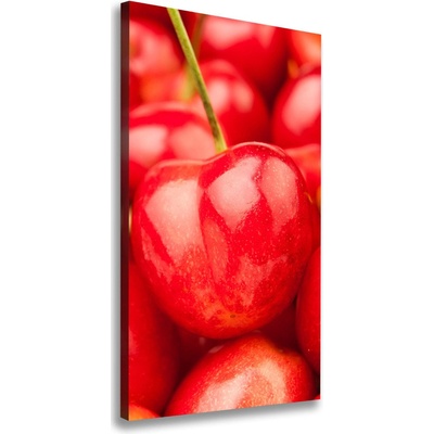 Vertikálny moderný fotoobraz canvas na ráme Višne 50x100 cm