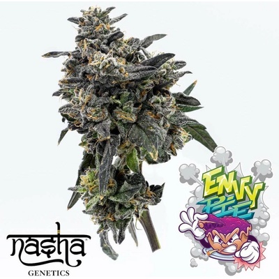 Nasha Genetics APPLES & BANANAS LINE Envy Pie semienka neobsahujú THC 10 ks
