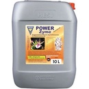 Hesi Powerzym 500 ml