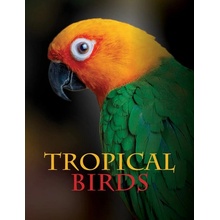 Tropical Birds Jackson Tom
