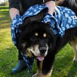  Dock&Bay Кърпа за кучета 120х90см - K9 Camo (5061011623072)
