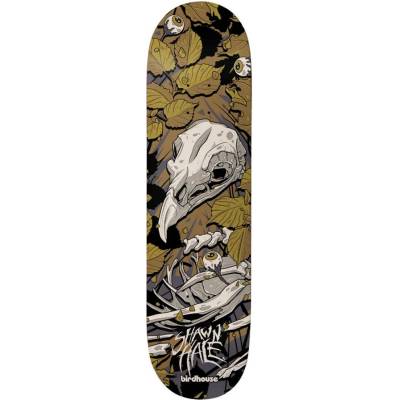 Birdhouse Shawn Hale Tillbrook