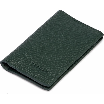 Tergan Калъфи за документи 0266GREEN