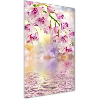 Vertikálny foto obraz sklenený Orchidea 50x100 cm
