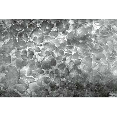 DIMEX MS-5-0355 vliesová fototapeta rozměry 375 x 250 cm