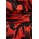 Diane von furstenberg Рокля diane von furstenberg (dvfdl3s054)