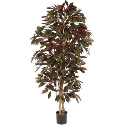 Umelá rastlina Capensia 150 cm