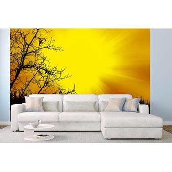 DIMEX ART s. r. o Самозалепваща се флизелинова фототапета черни дървета 375 x 250 см