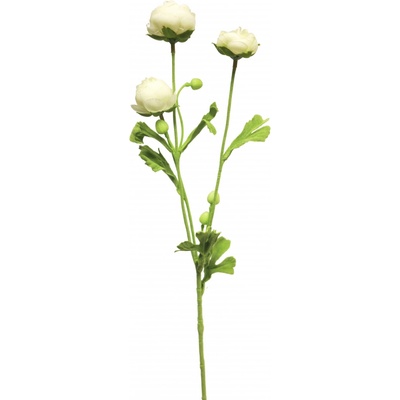 pryskyřník - ranonculus mini bilý v68 cm (N926180)