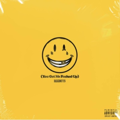 You Got Me Fucked Up - Deez Nuts LP