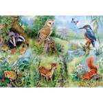 House of Puzzles - Puzzle Nature Study XXL - 250 piese