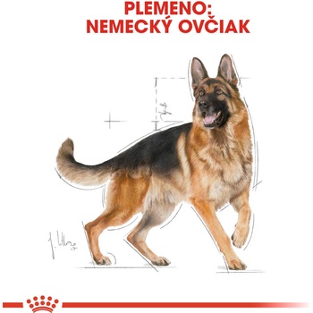 Royal Canin German Shepherd Adult 12 kg