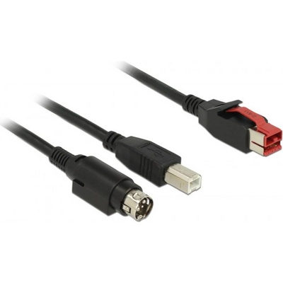 Delock 85488 USB 2.0 Napájaná USB 24V zástrčka USB-B zástrčka Hosiden Mini-DIN 3pol. zástrčka 2m černý
