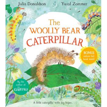 Woolly Bear Caterpillar | Julia Donaldson
