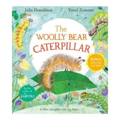 Woolly Bear Caterpillar | Julia Donaldson