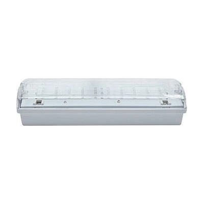 NBB CARLA 30 LED 3h DP IP65 910102000