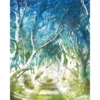 Komar Vliesová fototapeta Alley rozměry 200 x 250 cm