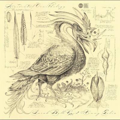 Sarah Belle Reid - ACCIDENTAL ORNITHOLOGY CD