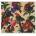 WASHED OUT: PARACOSM CD