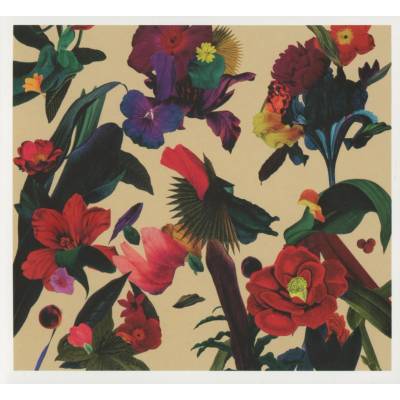 WASHED OUT: PARACOSM CD