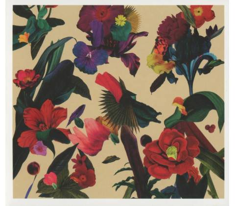 WASHED OUT: PARACOSM CD