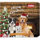 Nobby StarSnack Adventný kalendár pro psy