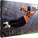 Image 1 of LG 49VL5G-M