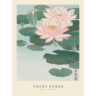 autor Plagát, Obraz - Water Lily (Special Edition) - Ohara Koson, 30 × 40 cm