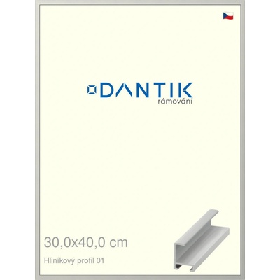 DANTIK rám na obraz 30 x 40 Stříbrná matná