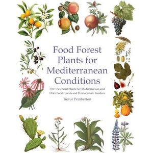 Food Forest Plants for Mediterranean Conditions (2025)