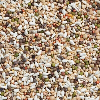 Deli Nature 33 naklíčovací směs 3 kg