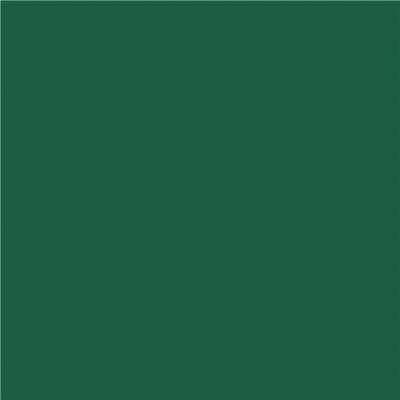Dunisoft Obrúsok Biotmavo zelený 100031208 40x40cm 60ks