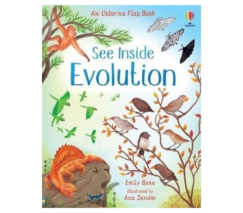 See Inside Evolution
