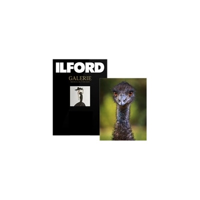 ILFORD GA6077130180
