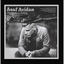 AVIDAN, ASAF - STUDY ON FALLING CD