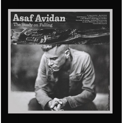AVIDAN, ASAF - STUDY ON FALLING CD
